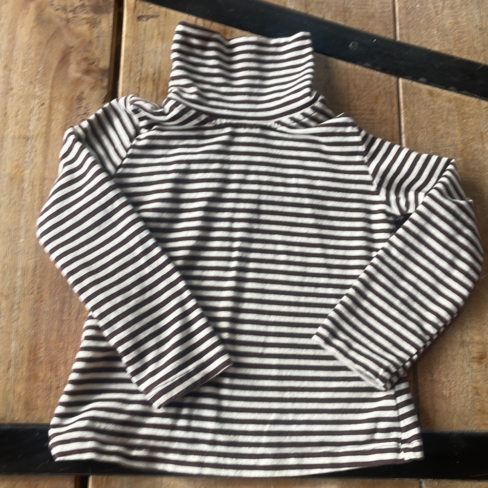 Brown and white striped turtleneck